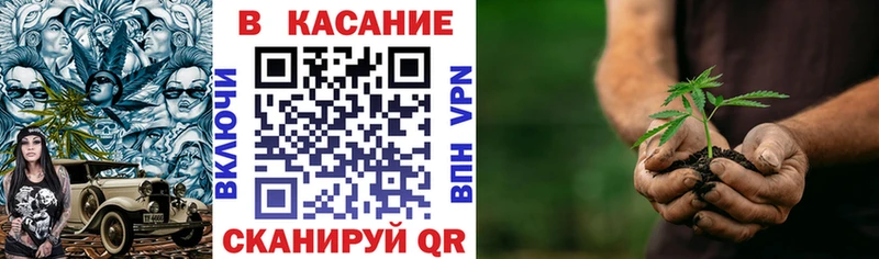 Что такое Бийск ГАШ СК Меф мяу мяу COCAIN