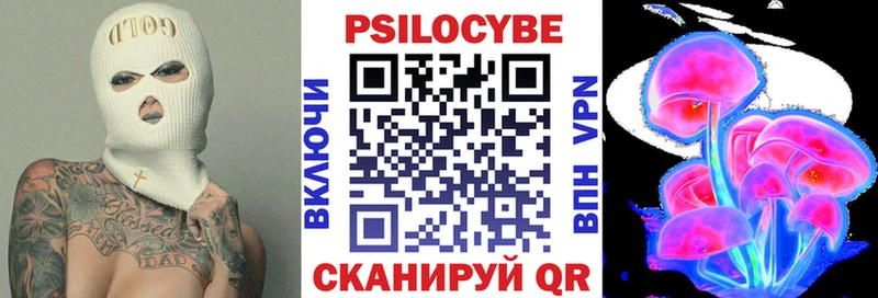 Галлюциногенные грибы Psilocybine cubensis  Бийск 