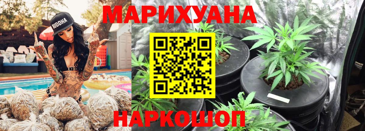 Каннабис SATIVA & INDICA  Бошки марихуана план  Марихуана сатива  Бошки Шишки VHQ  Вход с VPN  Бийск 